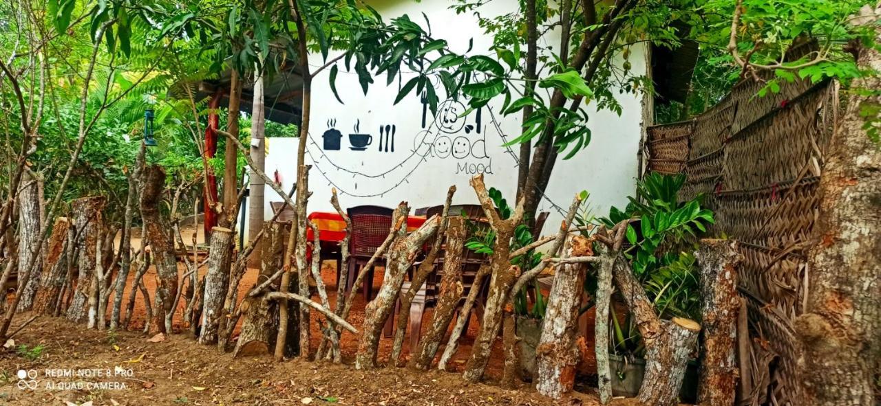 Sigiri Picaso Home Stay Szigirija Kültér fotó