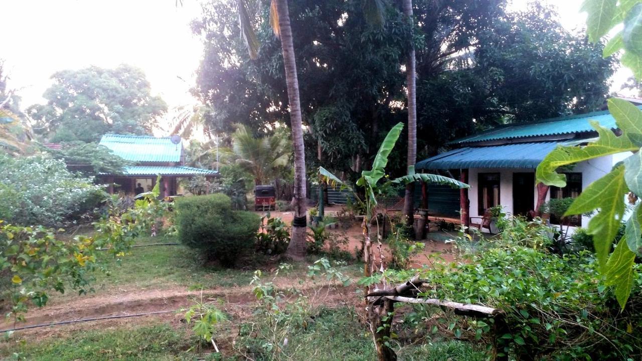Sigiri Picaso Home Stay Szigirija Kültér fotó