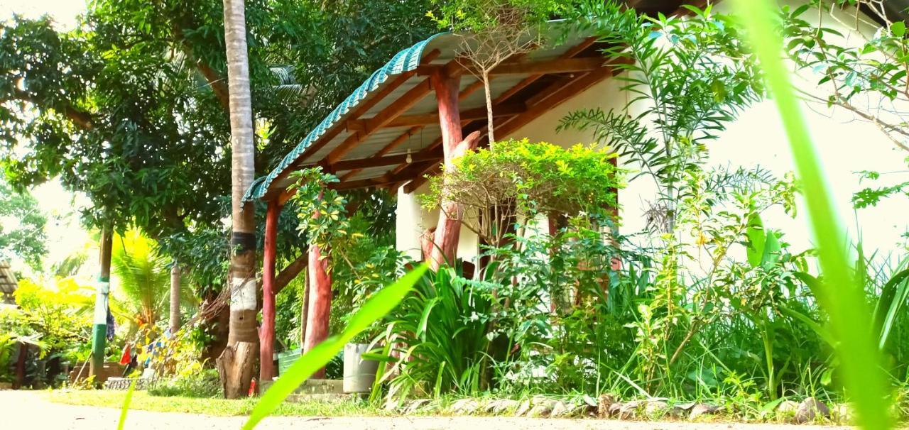 Sigiri Picaso Home Stay Szigirija Kültér fotó