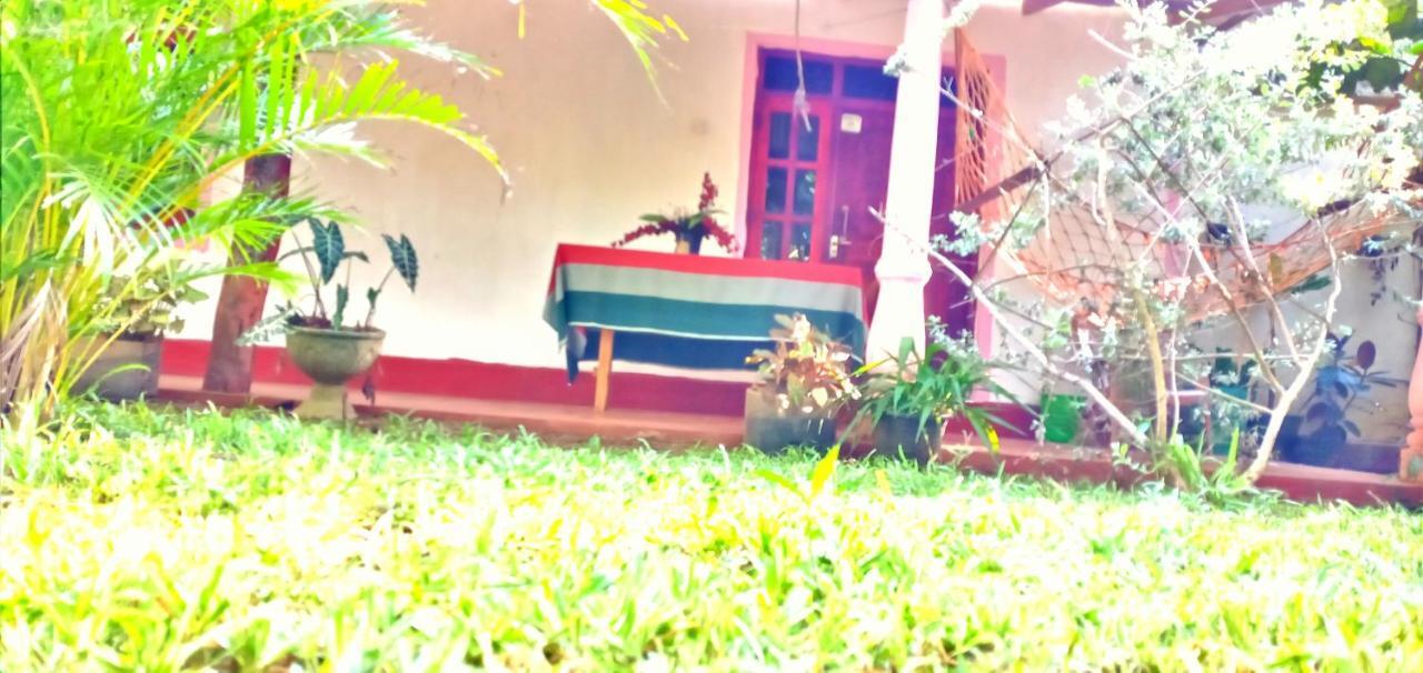 Sigiri Picaso Home Stay Szigirija Kültér fotó