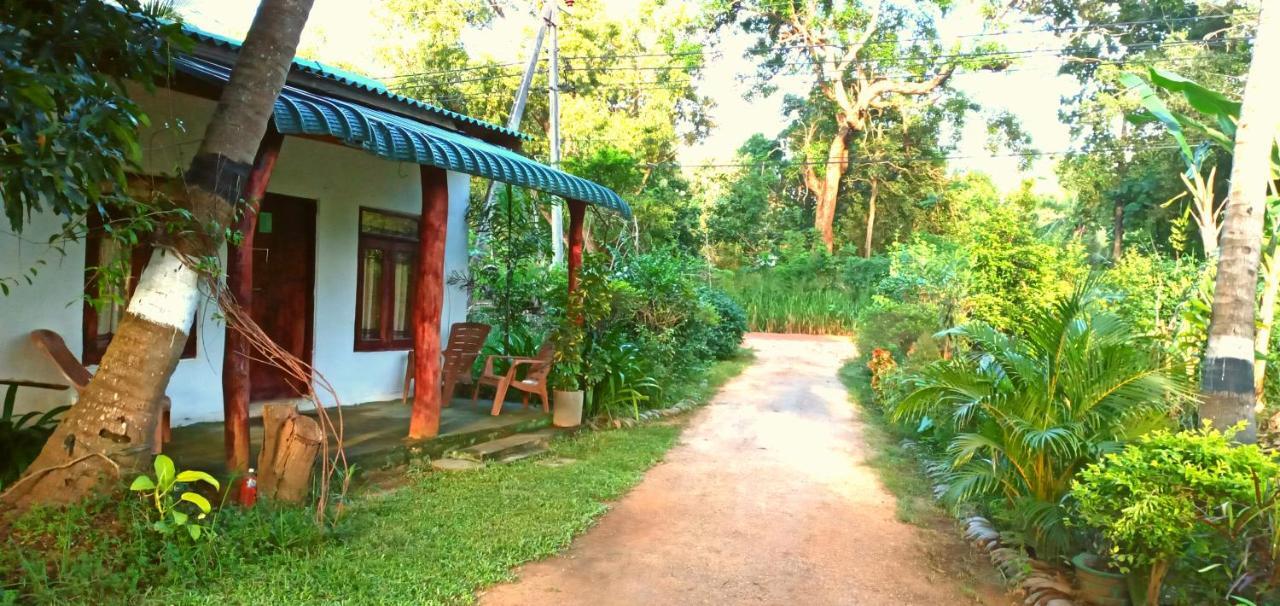 Sigiri Picaso Home Stay Szigirija Kültér fotó