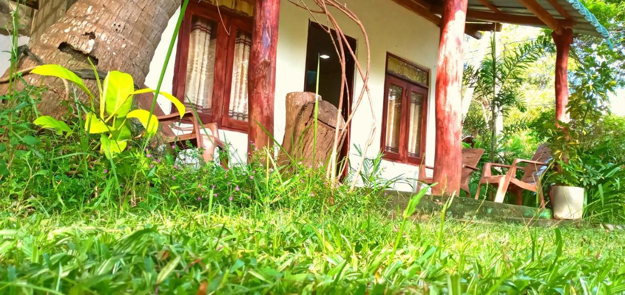 Sigiri Picaso Home Stay Szigirija Kültér fotó